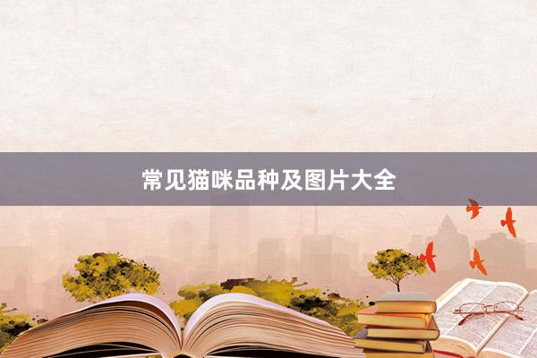 常见猫咪品种及图片大全