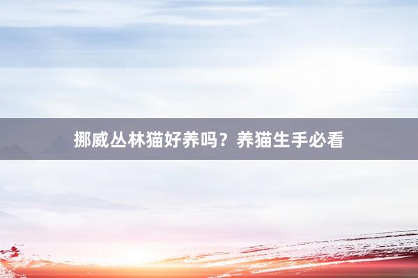 挪威丛林猫好养吗？养猫生手必看
