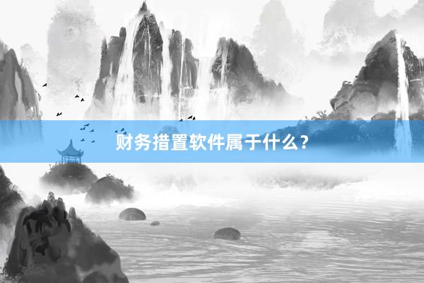 财务措置软件属于什么？